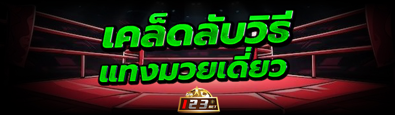 เคล็ดลับวิธีแทง มวยเดี่ยว