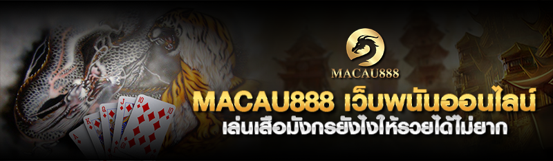 MACAU888 เว็บพนันออนไลน์ เล่นเสือมังกรยังไงให้รวยได้ไม่ยาก 